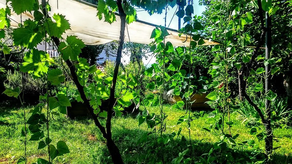 Stressfree Villa Ičići