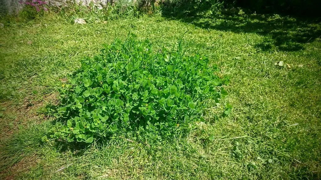 Stressfree Villa Ičići Chorwacja