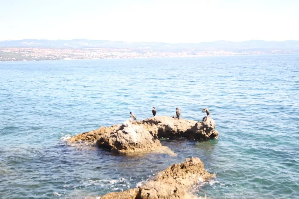 Stressfree Villa Ičići 0*,  Chorwacja